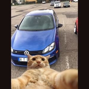 Meet your Posher, Marco